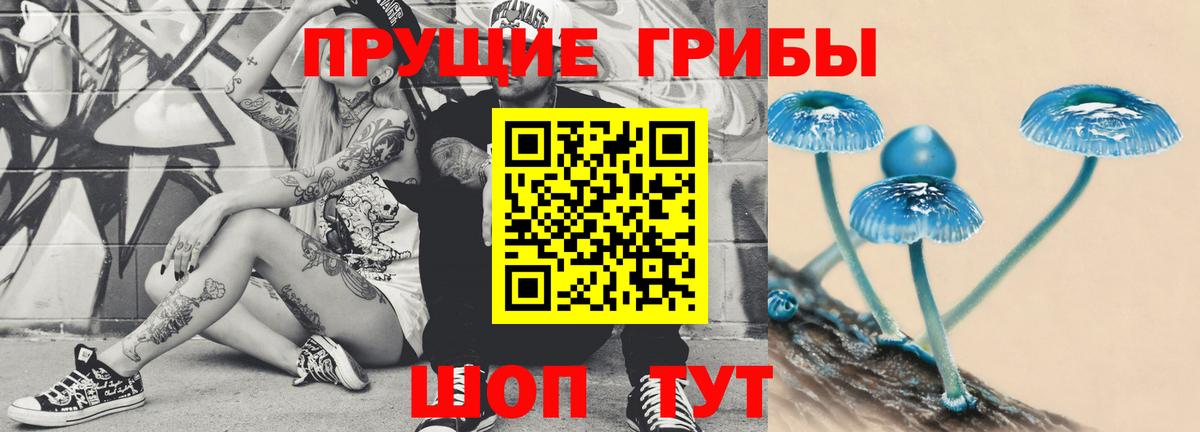 Изобильный  Галлюциногенные грибы Psilocybine cubensis  Псилоцибиновые грибы Cubensis  Вход с VPN 